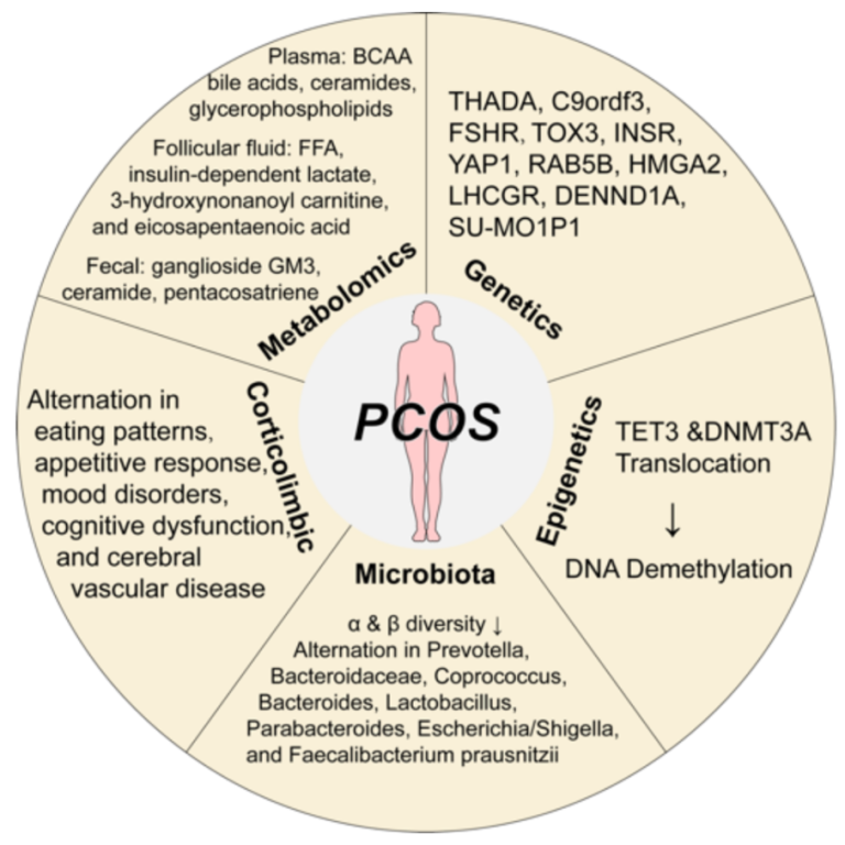 Different Phenotypes of PCOS: Implications to Clinical Practice