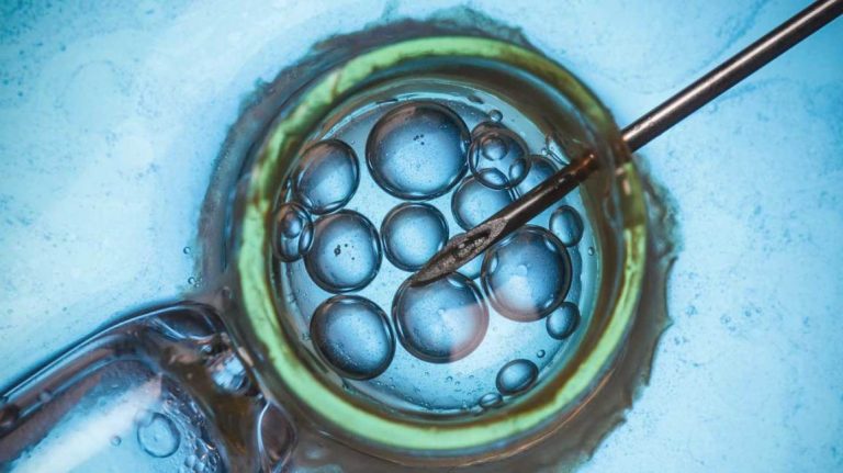 Egg Freezing can Help Women have Children Later in Life, But many do not Use their Frozen Eggs.